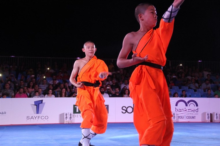 Martial Arts Festival